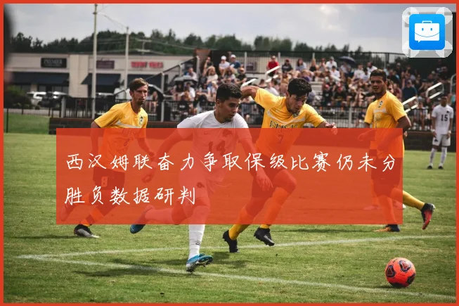 西汉姆联奋力争取保级比赛仍未分胜负数据研判