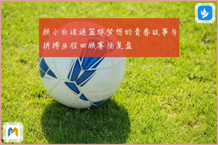 颜小白追逐篮球梦想的青春故事与拼搏历程回顾赛场复盘