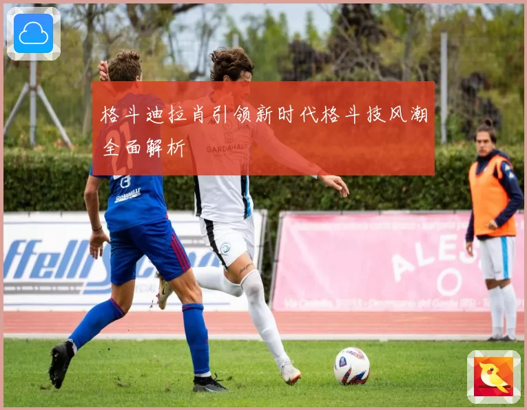 格斗迪拉肖引领新时代格斗技风潮全面解析