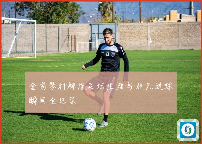 舍甫琴科辉煌足坛生涯与非凡进球瞬间全记录