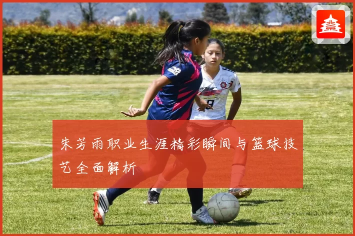 朱芳雨职业生涯精彩瞬间与篮球技艺全面解析
