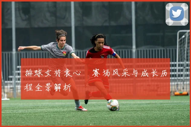 排球女将袁心玥赛场风采与成长历程全景解析