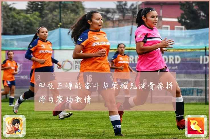 田径王峥的奋斗与荣耀见证青春拼搏与赛场激情